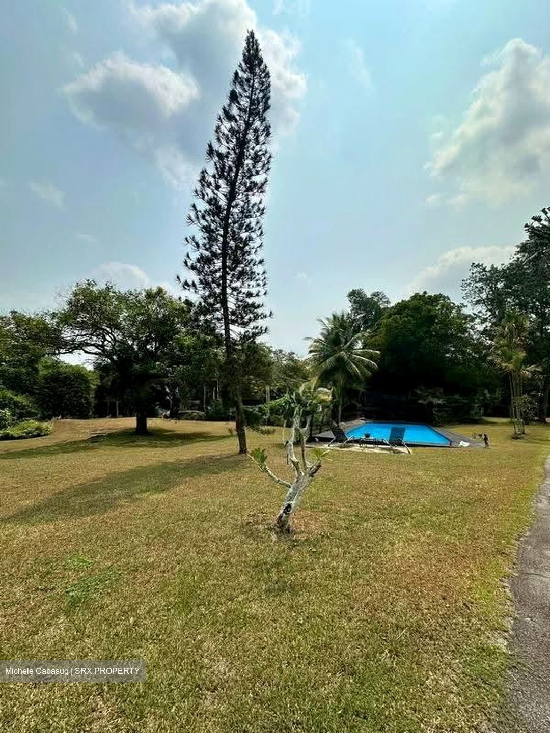 Mount Pleasant Road (D11), Detached #612879651